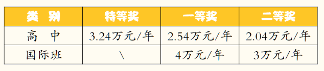 2023年成都市成都棠湖外國語學校有沒有獎學金，政策是什么