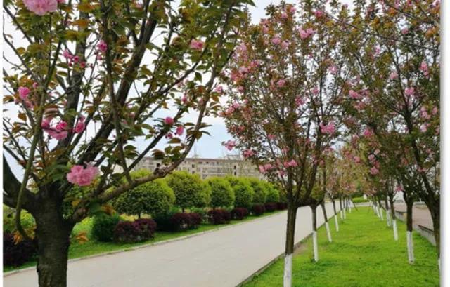 西充中學校園風采