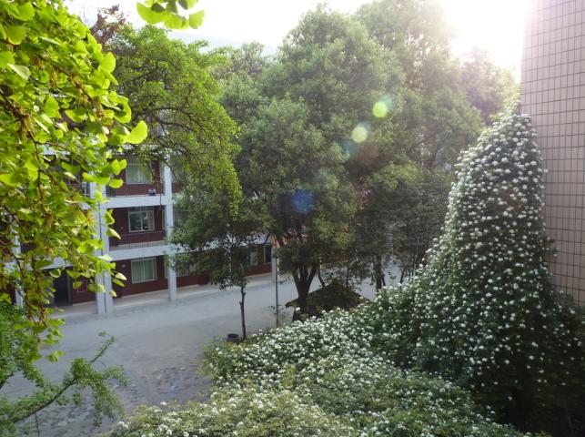 石室聯(lián)合中學(xué)蜀華分校怎么樣？