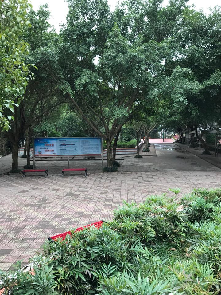 內江十二中2019年班級設置