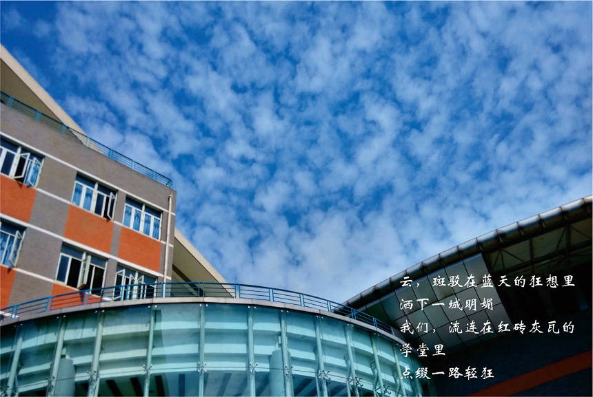 成都七中2020年中考錄取分?jǐn)?shù)線是多少？