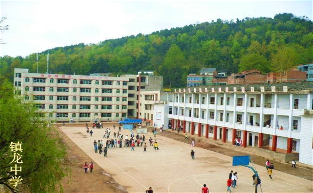 平昌縣鎮(zhèn)龍中學2020年學費多少錢？
