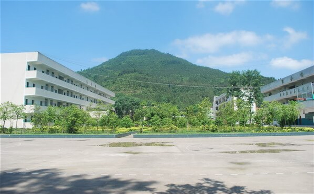 金山中學學校環(huán)境如何？