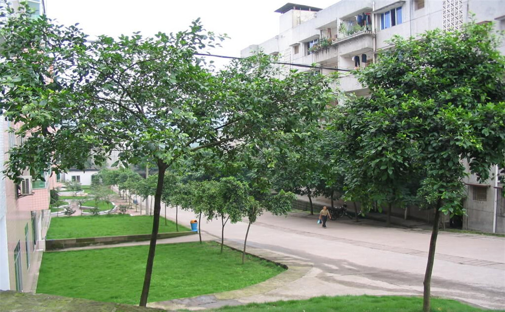 瀘州市納溪區(qū)護(hù)國中學(xué)地址在哪里？