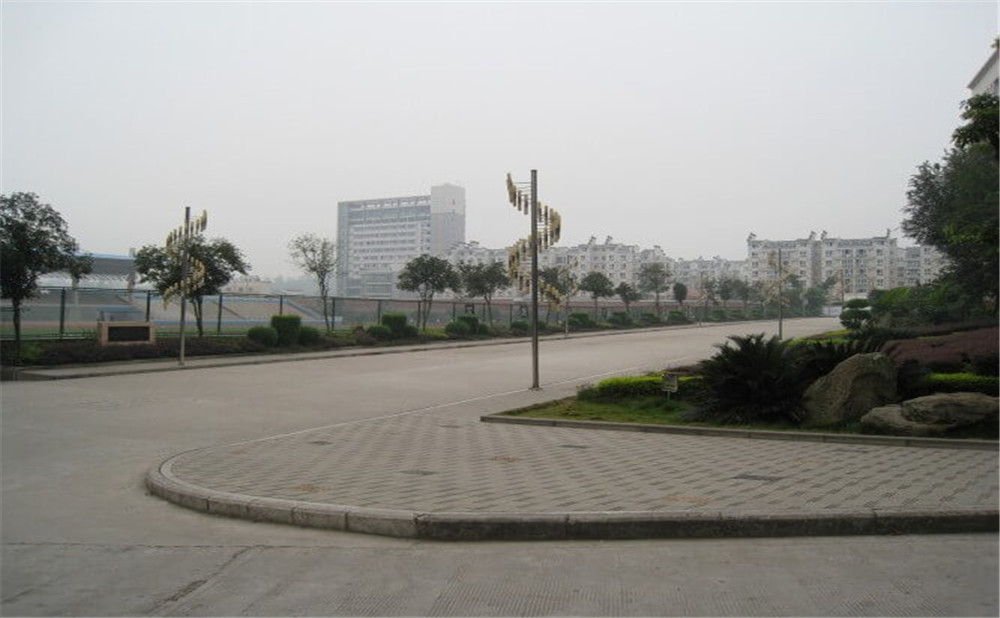 隆昌一中2020年收費(fèi)標(biāo)準(zhǔn)是多少？