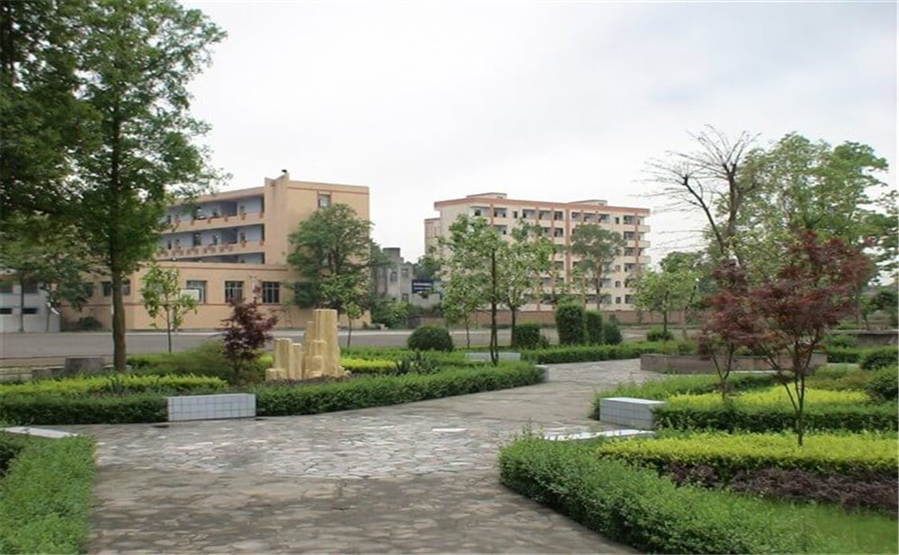 富順第三中學(xué)的升學(xué)率怎么樣？