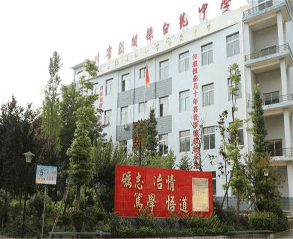 白龍中學(xué)2020年招生計劃公布了嗎？