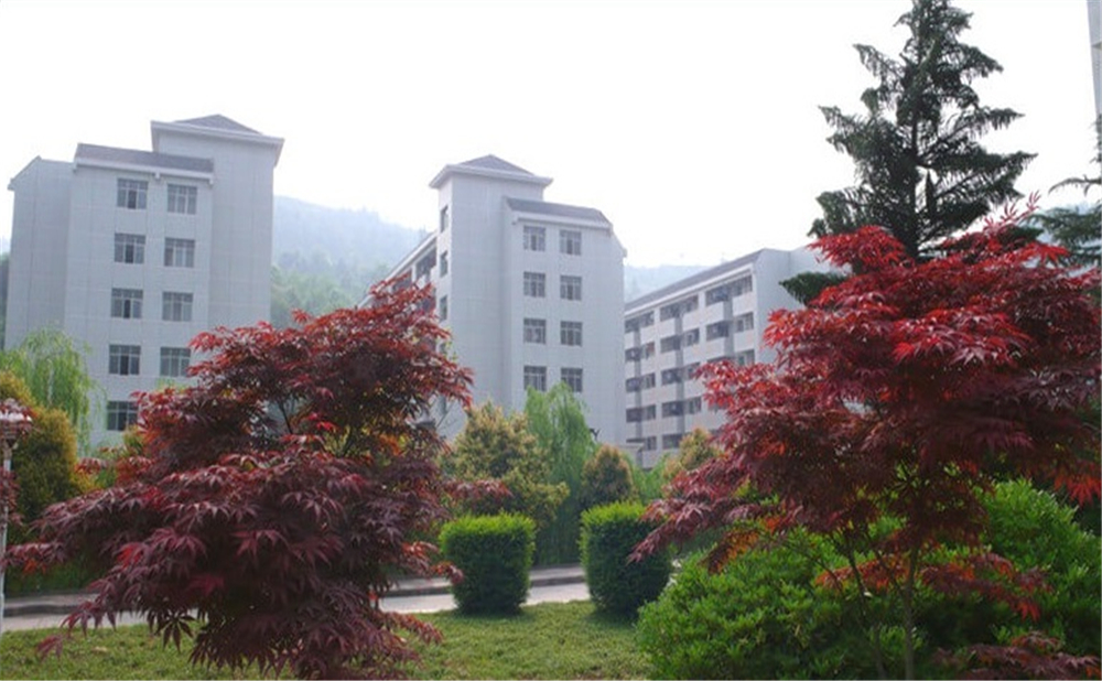 巴中中學(xué)學(xué)校詳細(xì)地址在什么地方？
