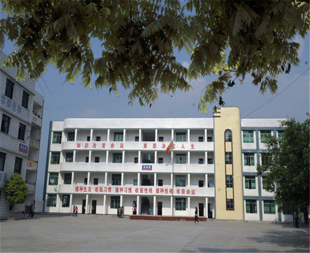 臨巴中學(xué)的詳細(xì)地址在什么地方？