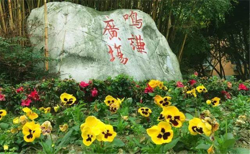 遂寧中學外國語實驗學校的招生電話是多少？