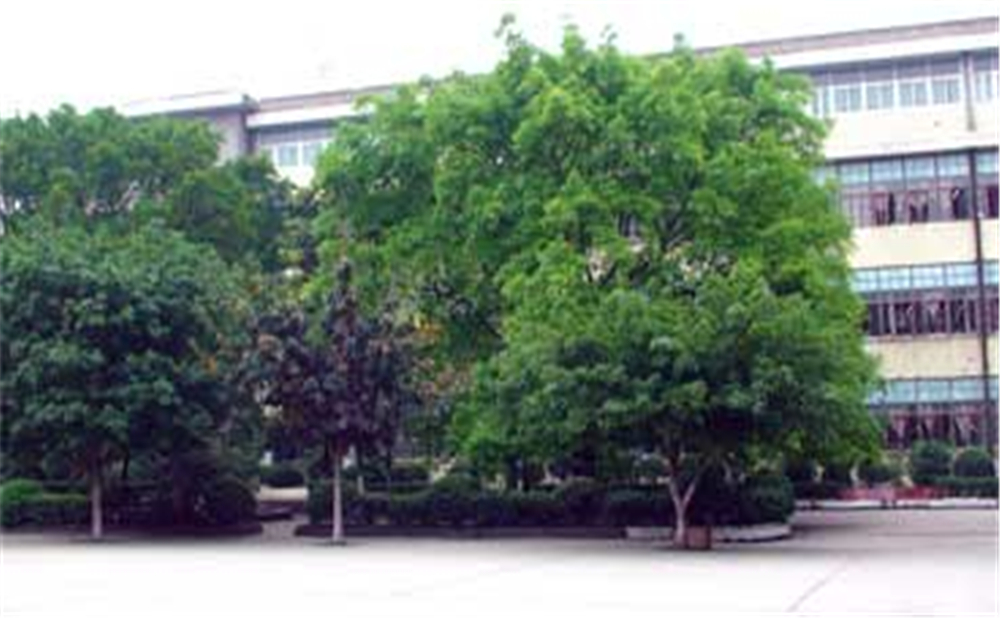 威遠縣自強中學學校環(huán)境怎么樣？