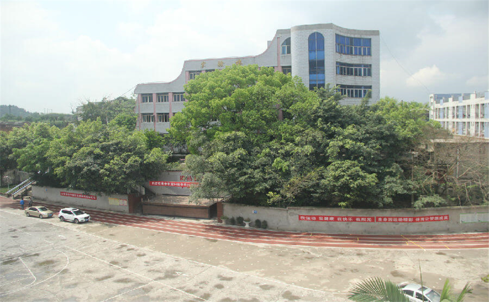 內(nèi)江鐵路中學(xué)學(xué)校環(huán)境怎么樣？