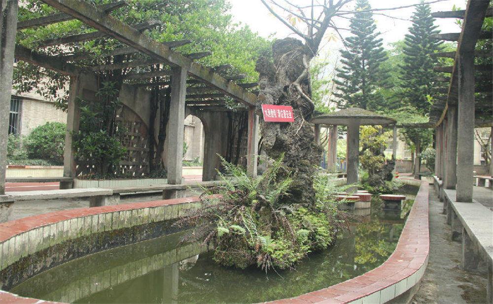 內(nèi)江鐵路中學(xué)學(xué)校環(huán)境怎么樣？