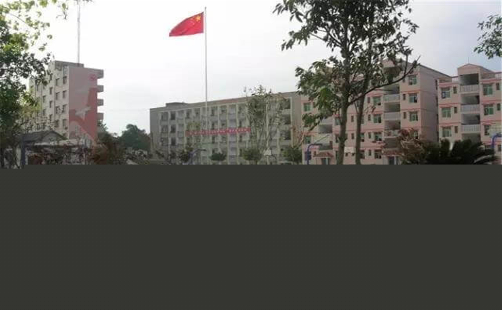 內江市第十一中學學校詳細地址在什么地方？