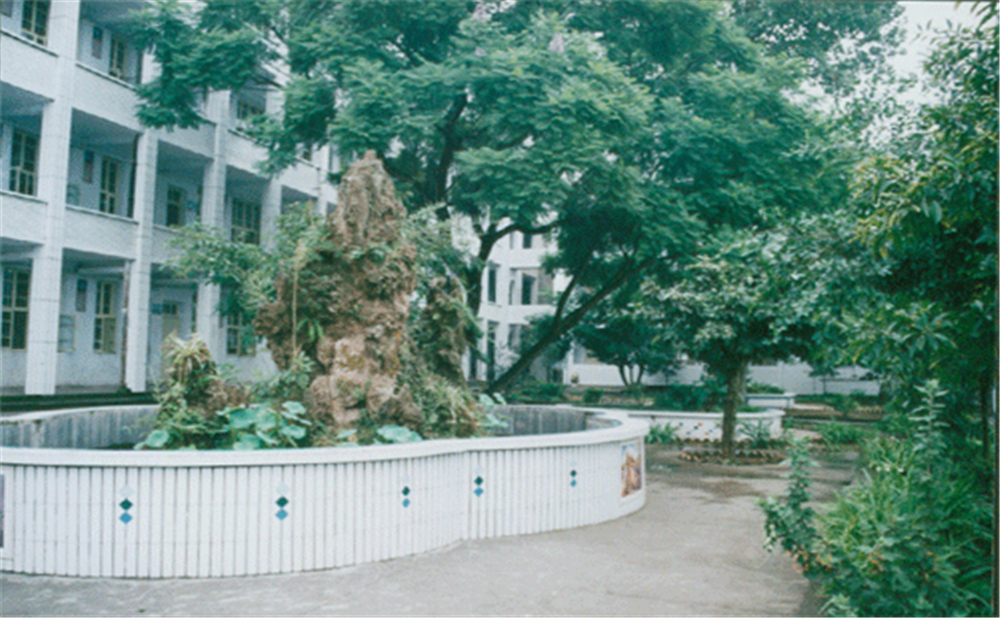 內(nèi)江市第十三中學(xué)學(xué)校詳細(xì)地址在什么地方？