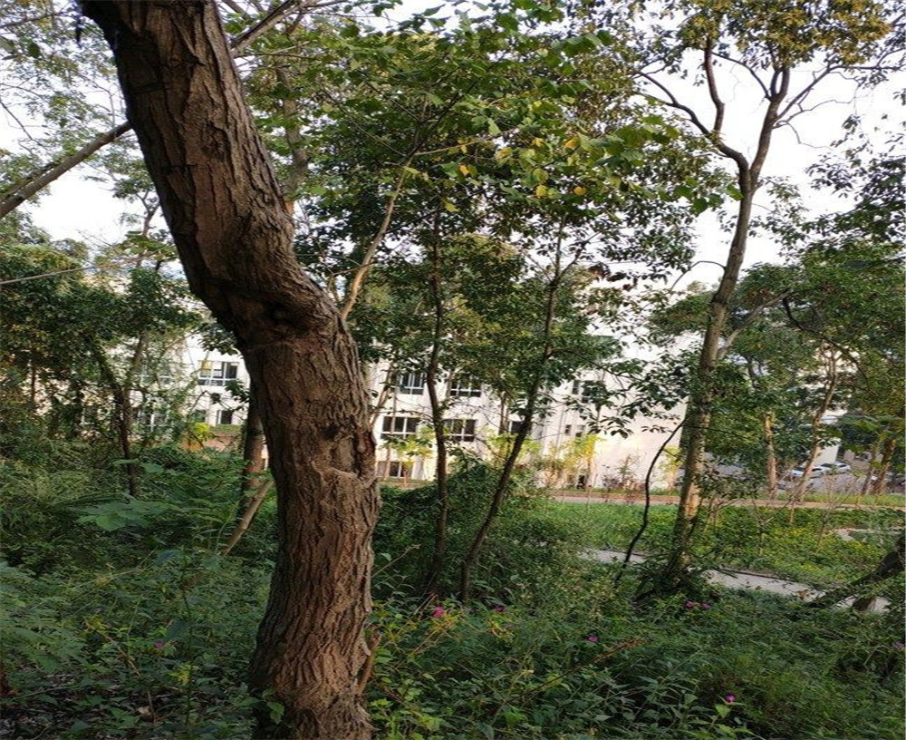 蒲家中學(xué)的詳細(xì)地址在什么地方？
