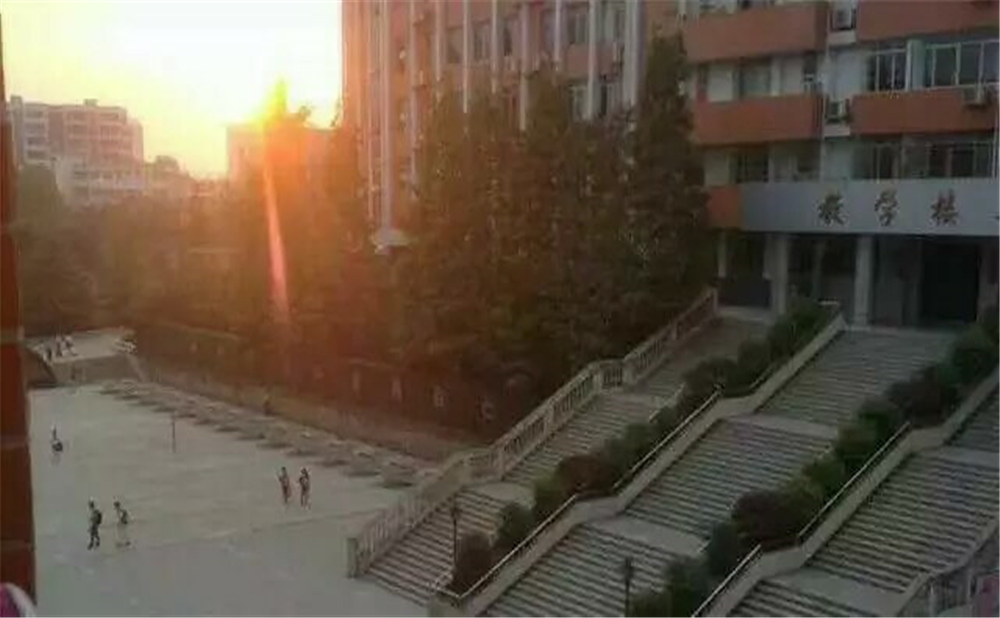 南充十一中學校招辦電話是多少？