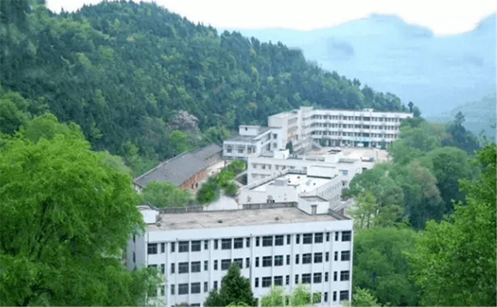 閬中市二龍中學(xué)2020年學(xué)校學(xué)費(fèi)多少錢一年？