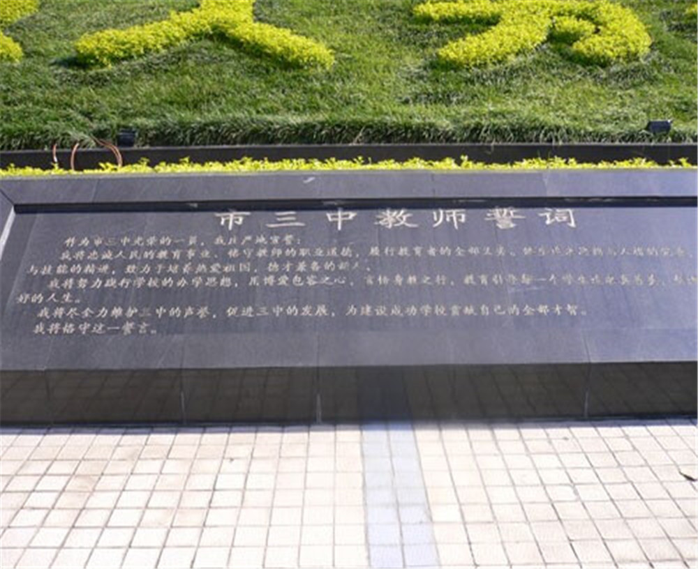 攀枝花市第三高級(jí)中學(xué)校2020年招生計(jì)劃公布了嗎？