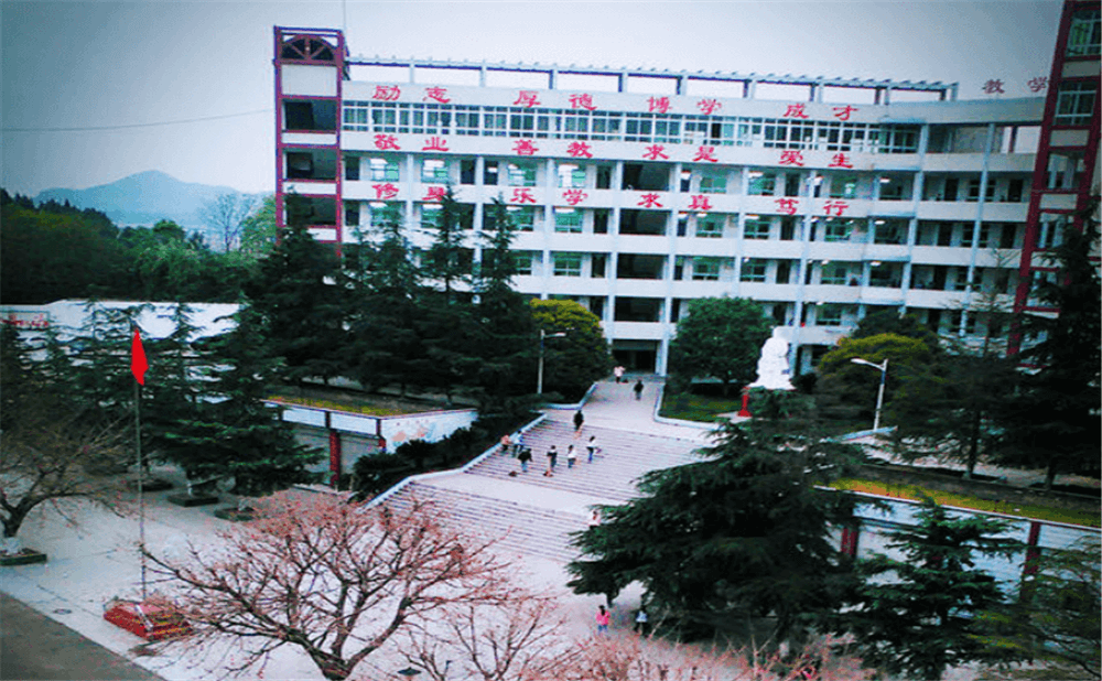 南部市伏虎中學學校詳細地址在什么地方？