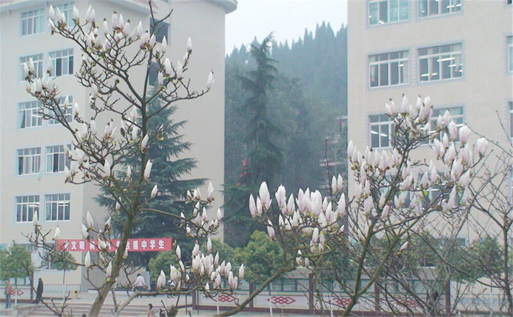 建興中學(xué)2020年中考錄取分?jǐn)?shù)線多少分？
