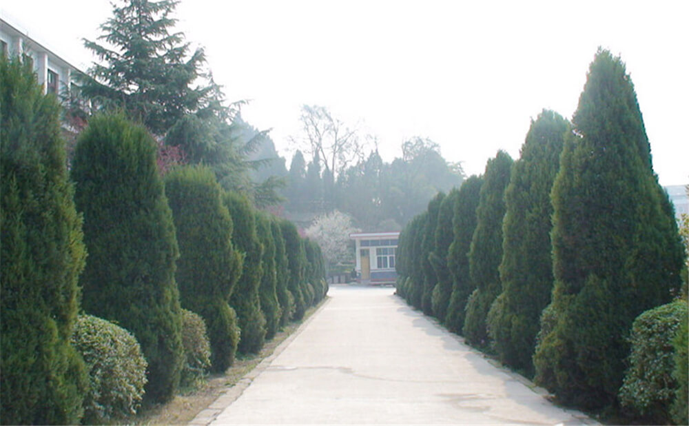 建興中學學校環(huán)境怎么樣？