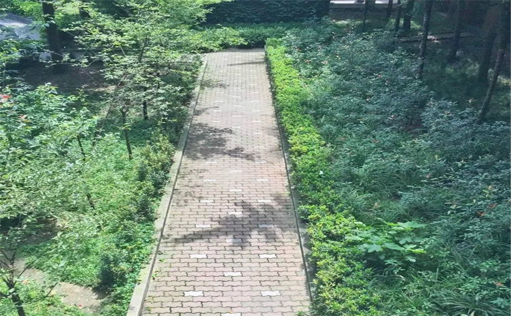 成都華西中學(xué)的高中怎么樣？