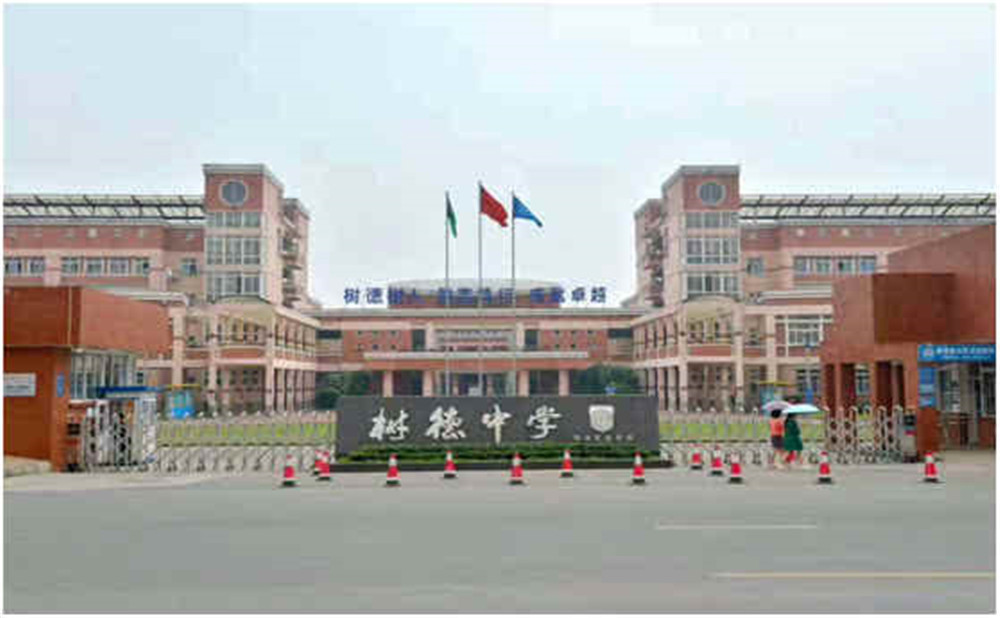 樹德博瑞實驗學校2020年的招生計劃是多少？