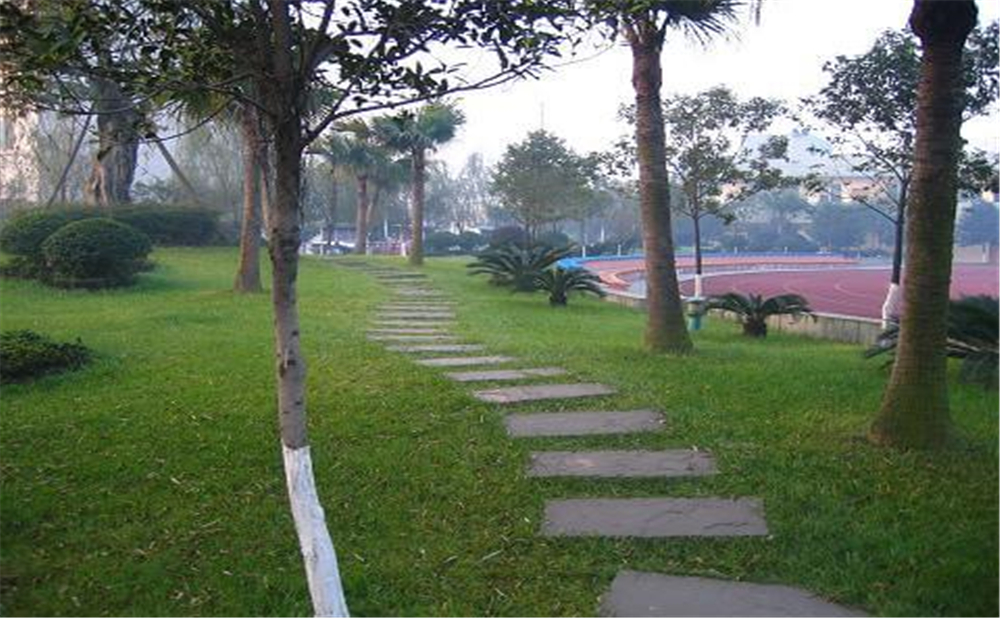 成都石室佳興外國(guó)語學(xué)校外招生一年的學(xué)費(fèi)是多少錢？
