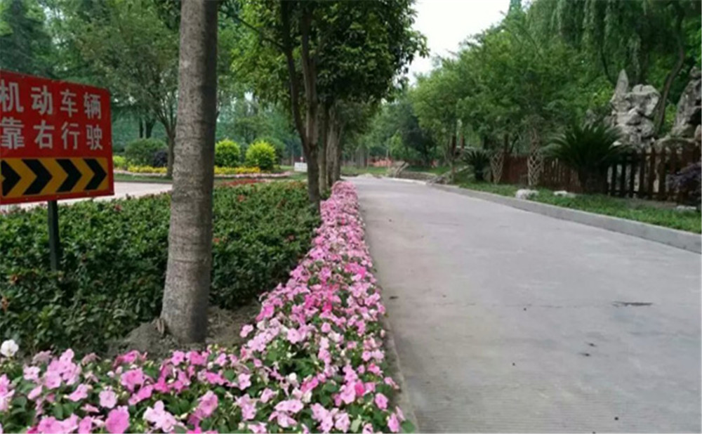 玉壘學(xué)校的老師怎么樣？