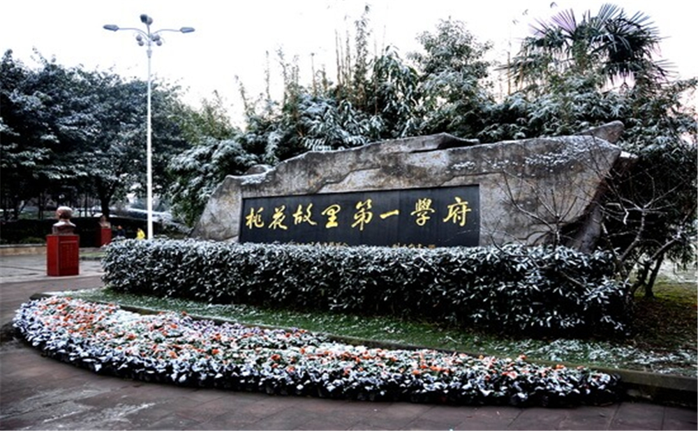成都市龍泉中學(xué)的高考升學(xué)率是多少？