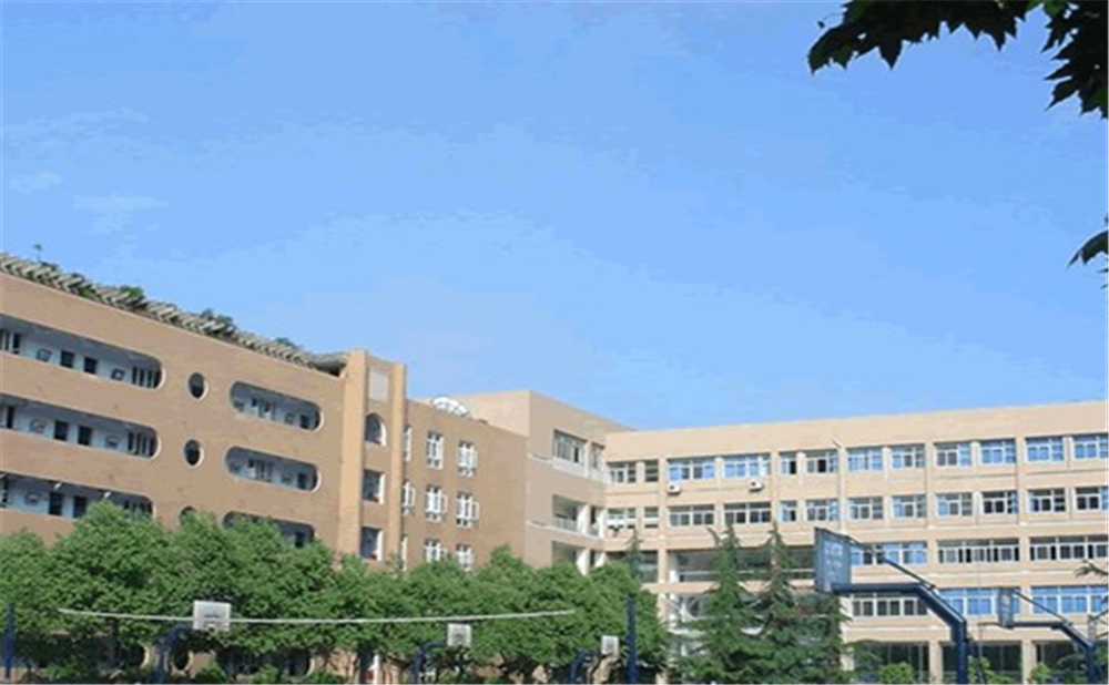 成都大學附屬中學的學費是多少錢？