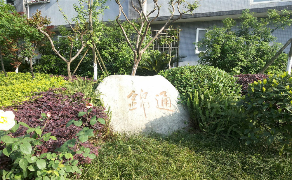 通錦中學2020年招生標準是什么？