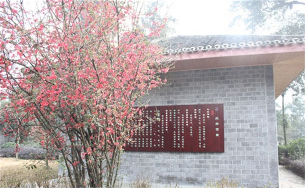 彭州中學(xué)2020年招生標(biāo)準(zhǔn)在哪兒看？