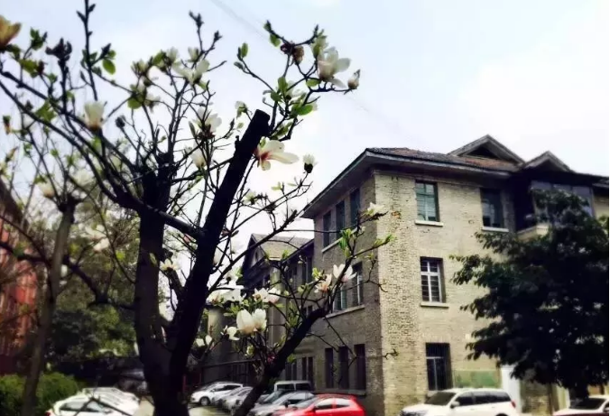 通錦中學(xué)的宿舍怎么樣？