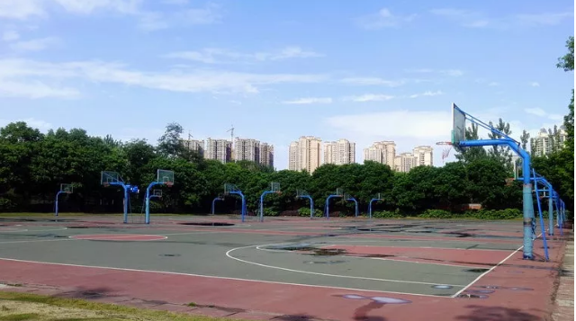 成都實驗外國語學校的本科升學率是多少？