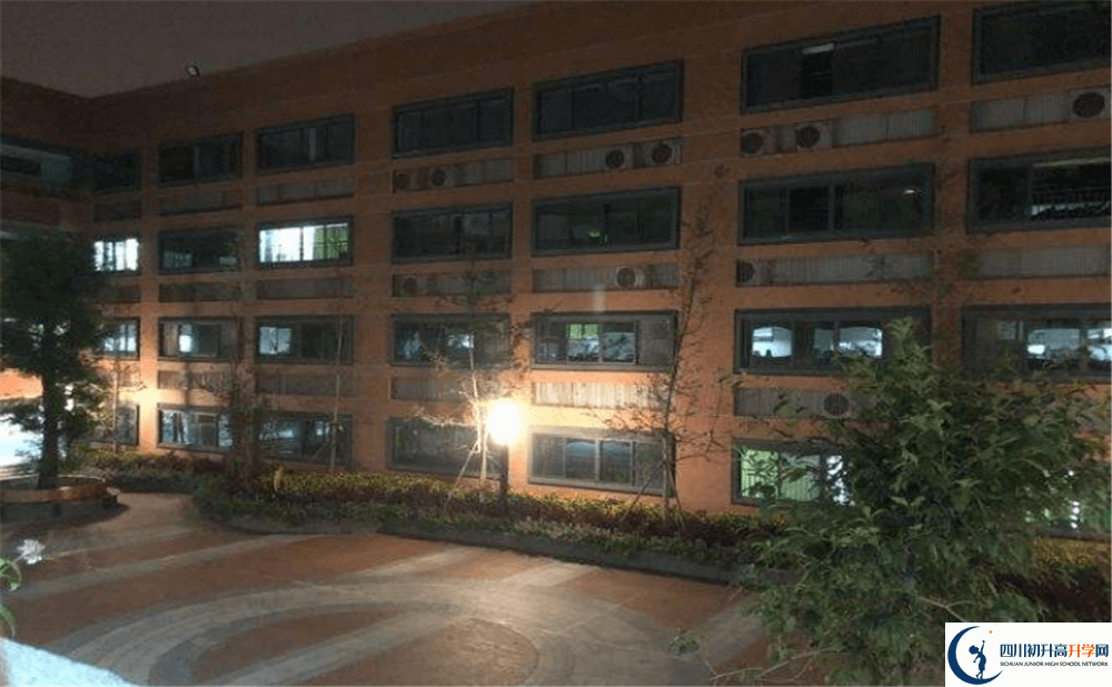 成都實外新都五龍山學校的學費收費標準是多少錢？