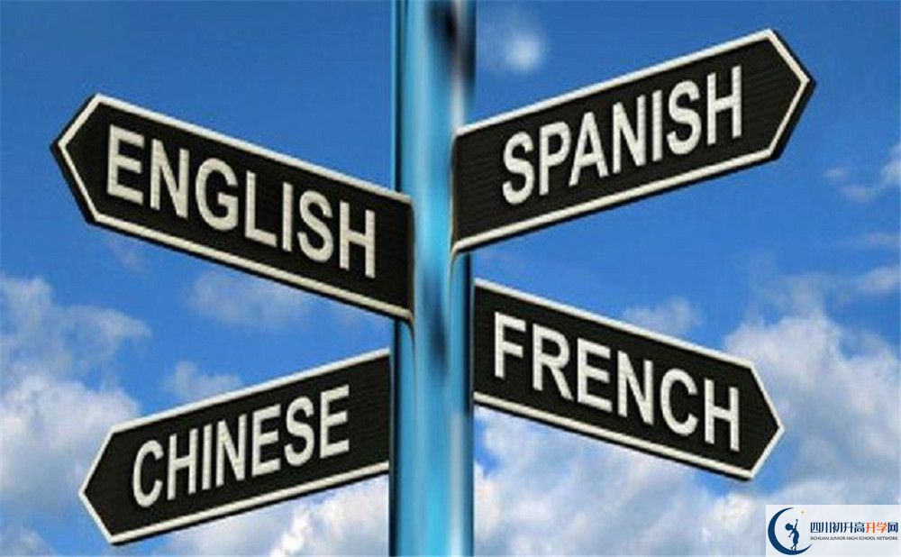 成都石室外國(guó)語(yǔ)學(xué)校的學(xué)費(fèi)收費(fèi)標(biāo)準(zhǔn)是多少？