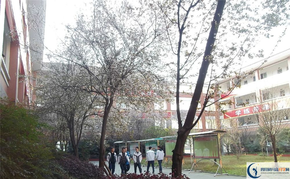 成都三十六中的分數(shù)線大概是多少分？