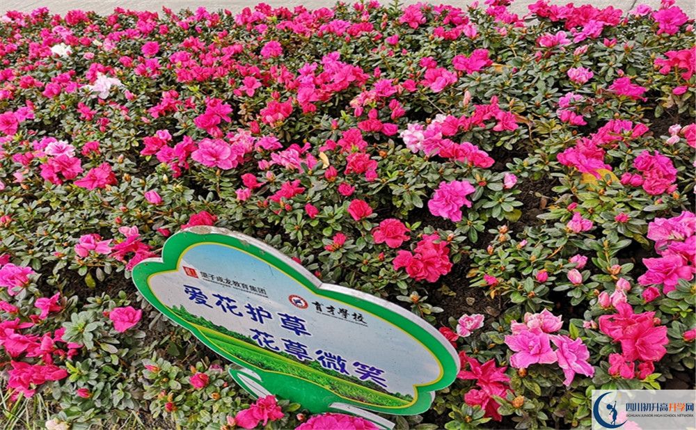 育才學(xué)校高中歷年來的分?jǐn)?shù)線是多少？