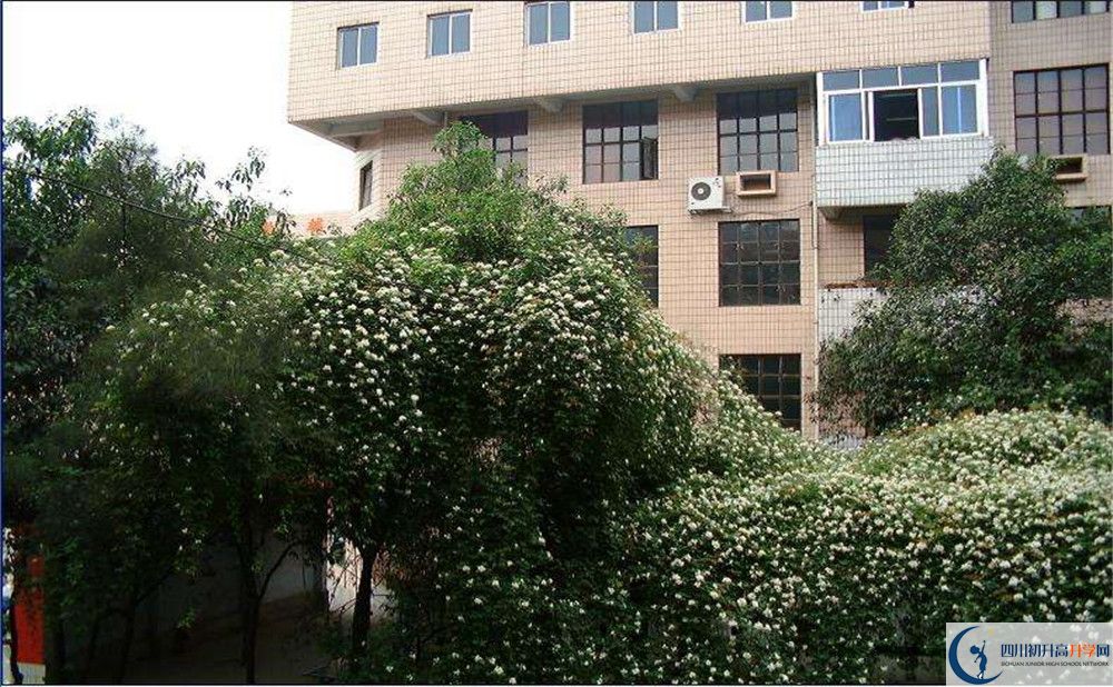 石室聯(lián)合中學(xué)蜀華分校2020年錄取條件是什么？