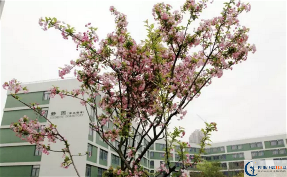 成都市田家炳中學地址怎么走？