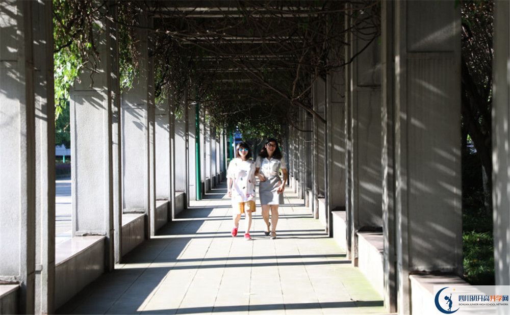 成都市龍泉中學2020年清華北大人數(shù)是多少？