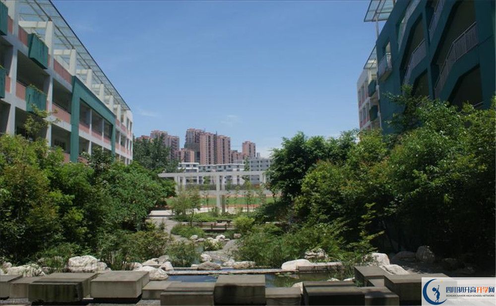 四川師范大學(xué)實(shí)驗(yàn)外國(guó)語學(xué)校2020年保送清華北大的人數(shù)？