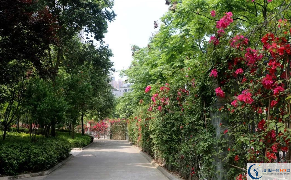 成都市第三中學(xué)平行班與實(shí)驗(yàn)班差多少？