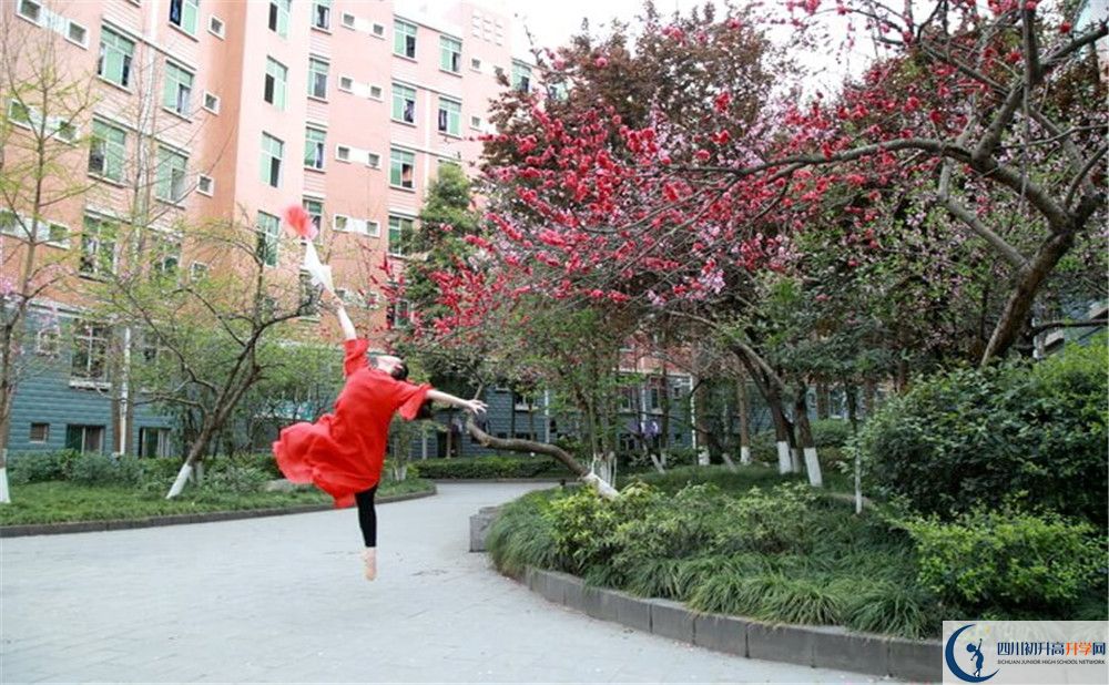 簡(jiǎn)陽(yáng)中學(xué)2020年保送清華北大的人數(shù)是多少？