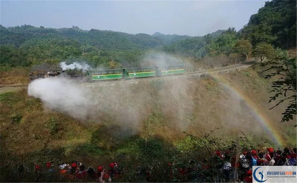 成都市泡桐樹中學(xué)國際班費(fèi)用是多少？