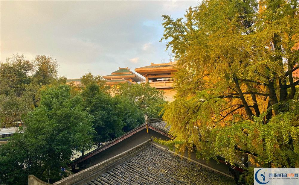 成都市泡桐樹中學(xué)平行班與實(shí)驗(yàn)班差多少？