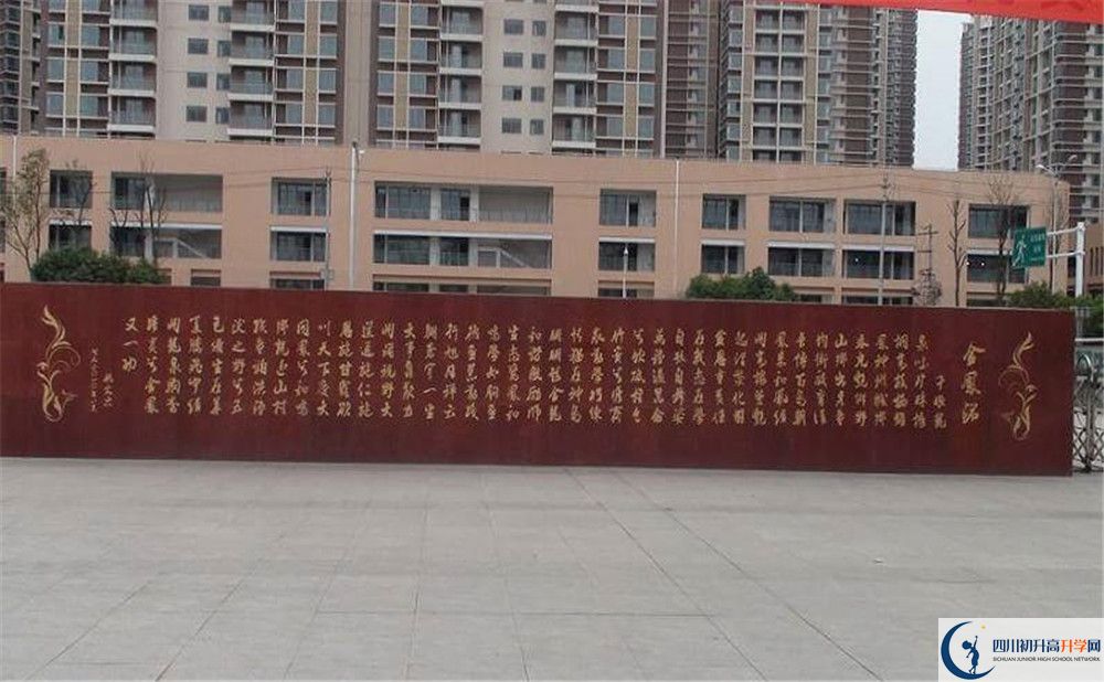 成都經(jīng)濟(jì)技術(shù)開(kāi)發(fā)區(qū)實(shí)驗(yàn)中學(xué)2020年全國(guó)排名是多少？