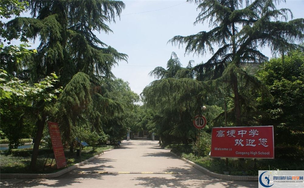 2020高埂中學(xué)高考重點大學(xué)升學(xué)率是多少？